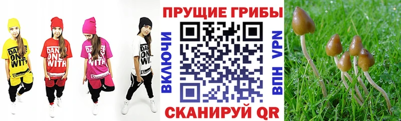 Галлюциногенные грибы Magic Shrooms  Копейск 